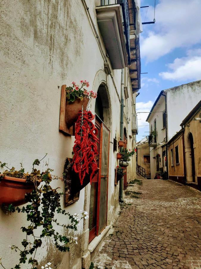 Le Origini Casa In Borgo Tipico Lucano Trivigno エクステリア 写真