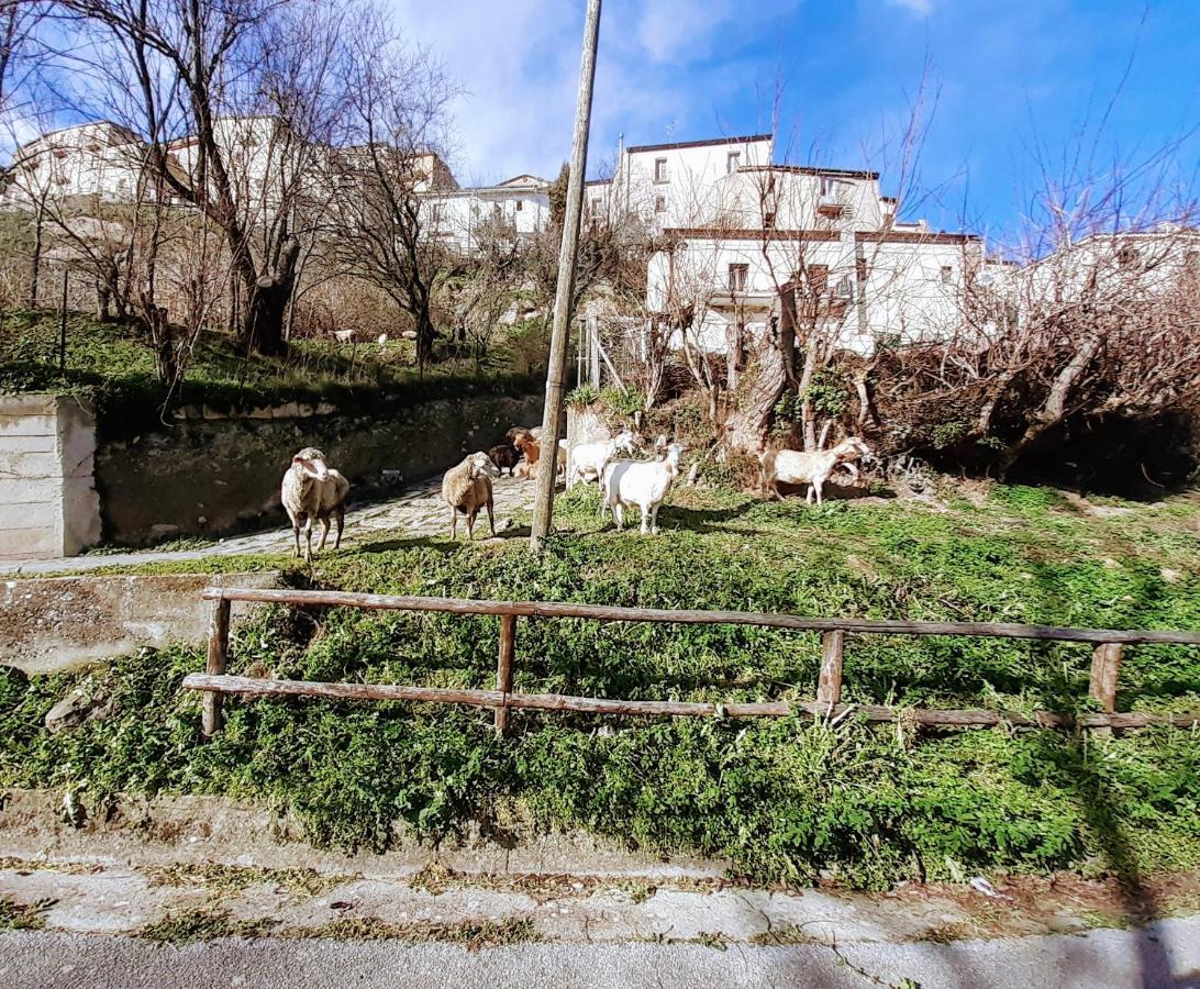 Le Origini Casa In Borgo Tipico Lucano Trivigno エクステリア 写真